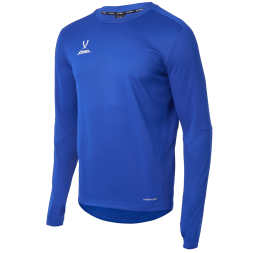 Джемпер тренировочный JÖGEL DIVISION PerFormDRY Pro Training Top, синий