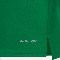 Футболка игровая JÖGEL DIVISION PerFormDRY Union Jersey, зеленый