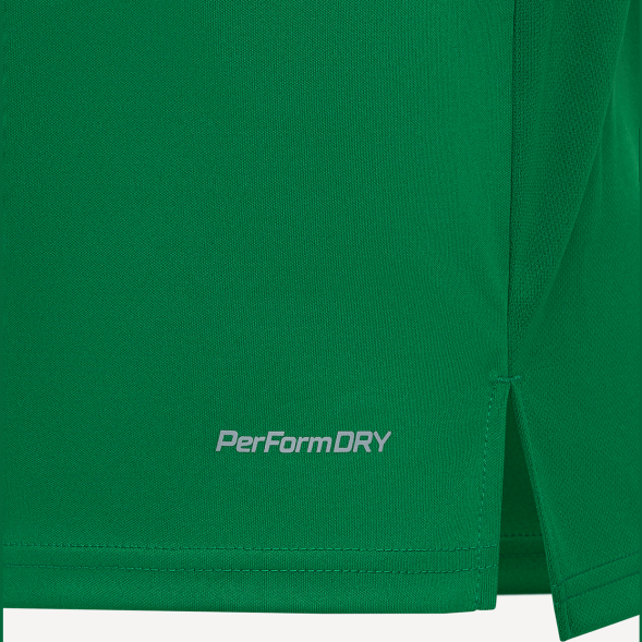Футболка игровая JÖGEL DIVISION PerFormDRY Union Jersey, зеленый