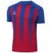 Футболка игровая JÖGEL CAMP Striped Jersey, красный/синий, детский