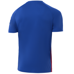 Футболка игровая JÖGEL CAMP Striped Jersey, красный/синий, детский