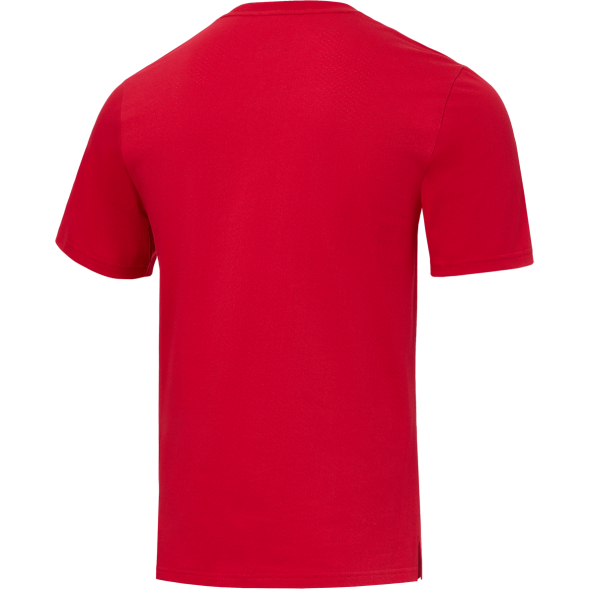 Футболка тренировочная JÖGEL DIVISION PerFormDRY Training CVC R2, красный