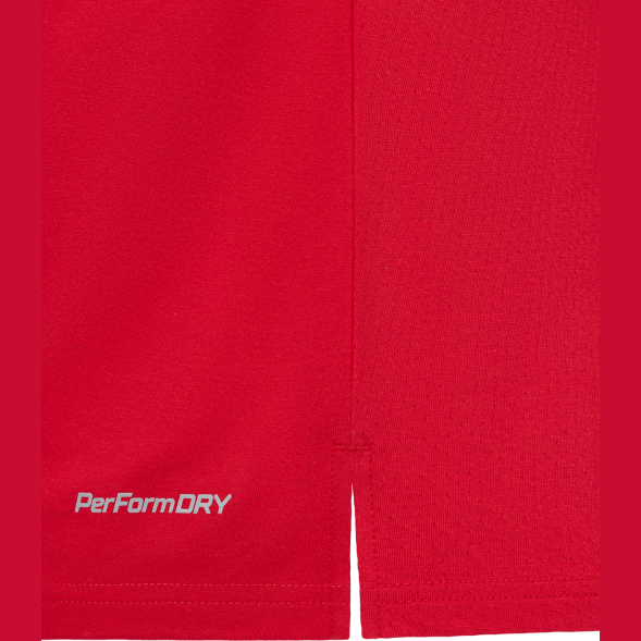 Футболка тренировочная JÖGEL DIVISION PerFormDRY Training CVC R2, красный