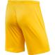 Шорты игровые JÖGEL CAMP Classic Shorts