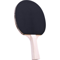 Набор для настольного тенниса TORRES Control 10 TT0010, 2 ракетки, 3 мяча, сетка, сумка-чехол