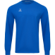 Лонгслив тренировочный JÖGEL DIVISION PerFormDRY Training CVC LS Z2, синий