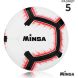 Мяч футбольный MINSA, TPE, машинная сшивка, 12 панелей, р. 5