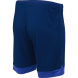Шорты игровые JÖGEL DIVISION PerFormDRY Union Shorts, темно-синий/синий/белый, детский
