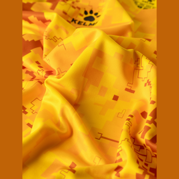 Комплект вратарской формы KELME LECHON