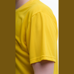 Футболка мужская ЭКИПО (Желтый)