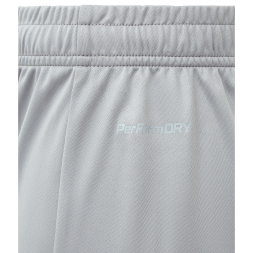 Шорты игровые JÖGEL DIVISION PerFormDRY Union Shorts, серый
