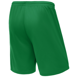 Шорты баскетбольные JÖGEL CAMP Basic, зеленый