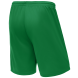 Шорты баскетбольные JÖGEL CAMP Basic, зеленый
