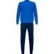 Костюм тренировочный TORRES Professional Training, K-2101-063-S, р.S, полиэстер, васильково-т.синий