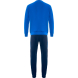 Костюм тренировочный TORRES Professional Training, K-2101-063-S, р.S, полиэстер, васильково-т.синий