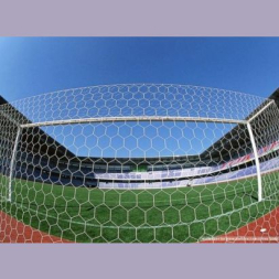 CЕТКА ПРОФИ ШЕСТИГРАННАЯ ДЛЯ ФУТБОЛЬНЫХ ВОРОТ (ПАРА) - НИТЬ 3,5 ЯЧЕЙКА 100Х100 ММ