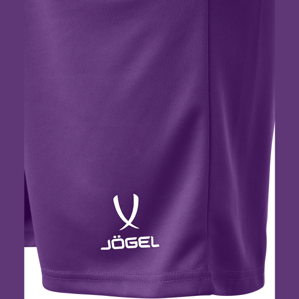 Шорты баскетбольные JÖGEL CAMP Basic, фиолетовый