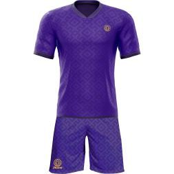 Футбольная форма ЭКИПО TROPHY Фиолетовый цвет