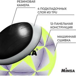 Мяч футбольный MINSA, TPU, машинная сшивка, 12 панелей, р. 5