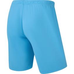 Шорты игровые JÖGEL CAMP Classic Shorts, голубой, детский