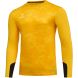 Свитер вратарский JÖGEL DIVISION PerFormDRY GK Splash, желтый