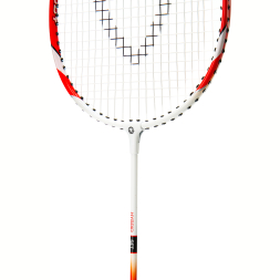 Набор для бадминтона TORRES Hybrid Set BD23505 2 ракетки и 3 волана