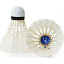 Воланы для бадминтона TORRES 05 BD20130, перо/пробка, 12 шт