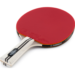 Ракетка для настольного тенниса TORRES Profi 5*