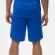 Шорты баскетбольные JÖGEL PerformDry Division Star, синий