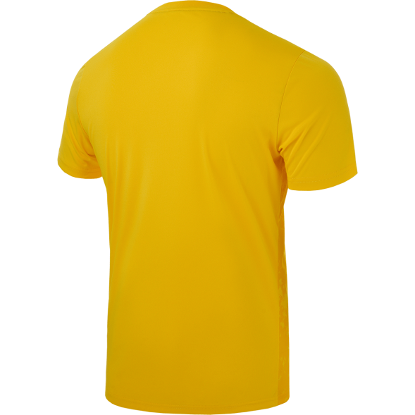 Футболка вратарская JÖGEL DIVISION PerFormDRY SPLASH GK Jersey, желтый, детский