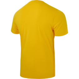 Футболка вратарская JÖGEL DIVISION PerFormDRY SPLASH GK Jersey, желтый, детский