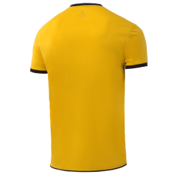 Футболка волейбольная JÖGEL CAMP, желтый