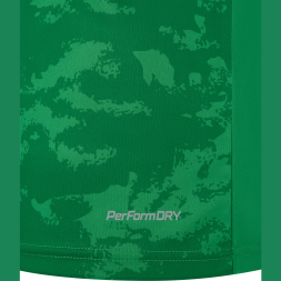 Футболка вратарская JÖGEL DIVISION PerFormDRY SPLASH GK Jersey, зеленый, детский