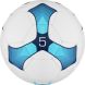 Мяч футбольный MINSA Training, PU, ручная сшивка, 32 панели, р. 5