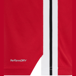 Майка баскетбольная JÖGEL DIVISION PerFormDRY Jersey R2, красный