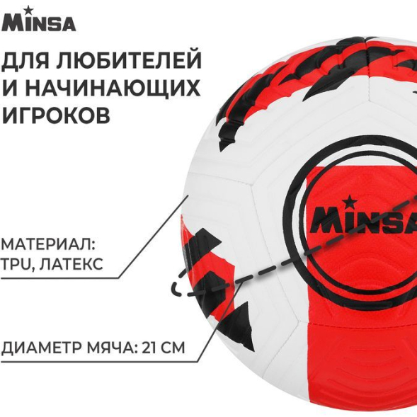 Мяч футбольный MINSA, TPE, машинная сшивка, 12 панелей, р. 5