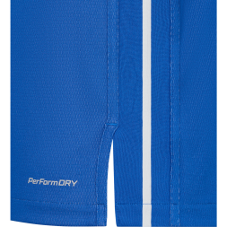 Майка двухсторонняя JÖGEL DIVISION PerFormDRY Double-Side Jersey, синий/белый