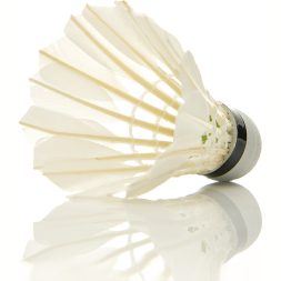 Воланы для бадминтона DOUBLE FISH JINQUE 09 перо/синтетический материал, 12 шт, Цвет: белый