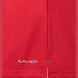 Футболка тренировочная JÖGEL PREMIER PerFormDRY TRN CVC Tee, красный