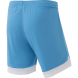 Шорты игровые JÖGEL DIVISION PerFormDRY Union Shorts