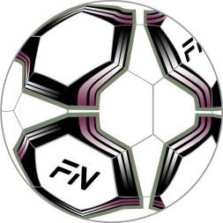 Футзальный мяч  FN Futsal Ball