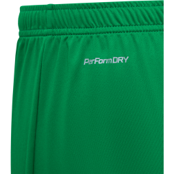 Шорты игровые JÖGEL DIVISION PerFormDRY Union Shorts, зеленый