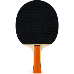 Набор для настольного тенниса DOUBLE FISH 036A, 2 ракетки и 3 мяча