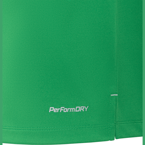 Футболка вратарская JÖGEL NATIONAL PerFormDRY GK Jersey, зеленый