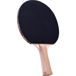 Набор для настольного тенниса TORRES Control 9 TT0011, 2 ракетки и 3 мяча , сумка-чехол