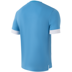 Футболка игровая JÖGEL DIVISION PerFormDRY Union Jersey, голубой/белый/белый