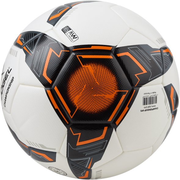 Мяч футбольный JÖGEL Championship №5, белый