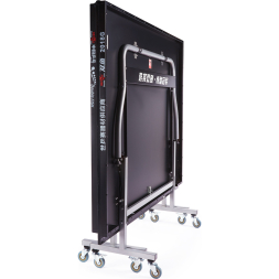 Стол для настольного тенниса DOUBLE FISH 2018G, Indoor для закрытых помещений