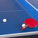 Стол для настольного тенниса DOUBLE FISH 201C-2, Indoor, для закрытых помещений
