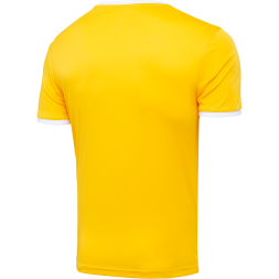 Футболка футбольная JÖGEL CAMP Origin, желтый/белый